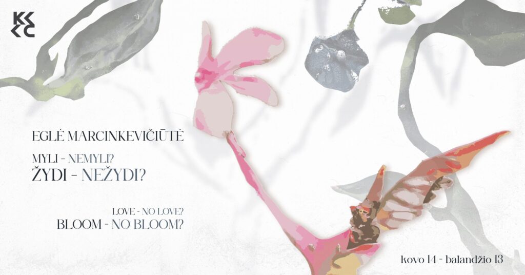 Myli – nemyli? Žydi – nežydi?