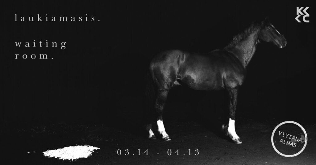 „Laukiamasis / Waiting room“