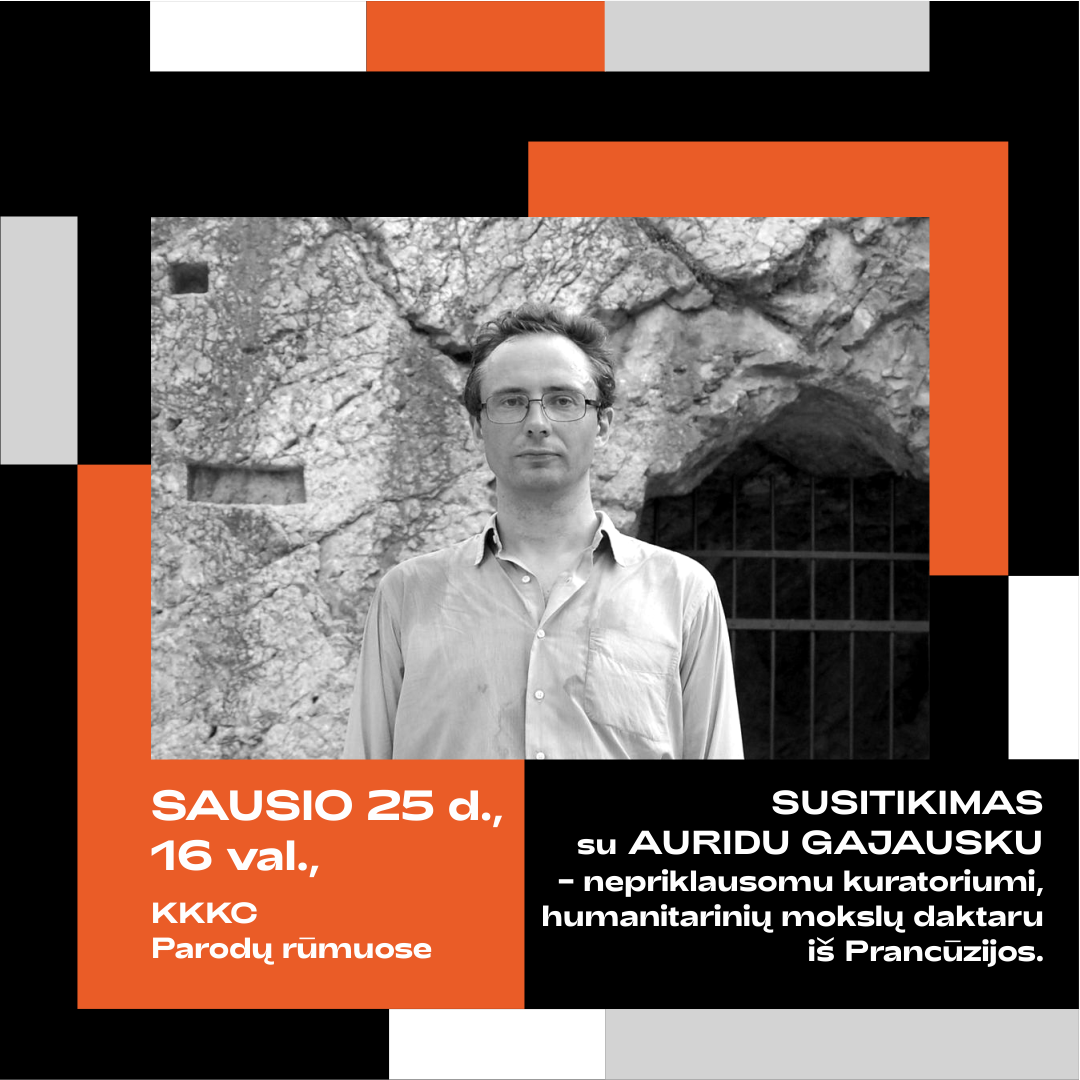 Susitikimas su Auridu Gajausku