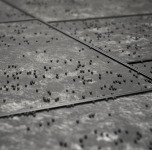 Elena Grudzinskaite „Sluoksniai. Vietovaizdziai“, 2014 (fragmentas)