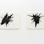 Christin Wilcken