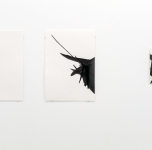 Christin Wilcken