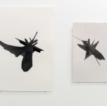 Christin Wilcken
