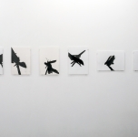 Christin Wilcken