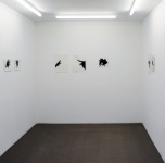 Christin Wilcken
